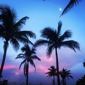 Natasha Deeva's photo