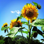 K Burmeister's photo