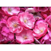 Emily Bethune's photo