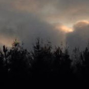 Carole Bowman's photo