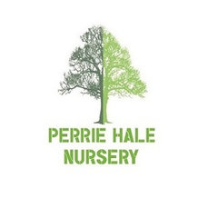 Perrie Hale Nursery