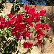 Andrea Margrave's photo