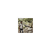 Amarul Haikal's photo