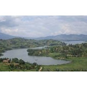Therese K's photo