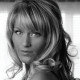 Nichola Clare Designs Ltd Nichola Clare Designs Ltd