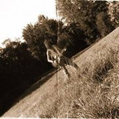 Stu Simpsons foto