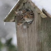 Foto von Carrie Moran