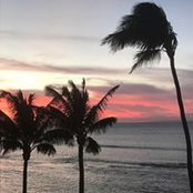 Vicki Grochowski's photo
