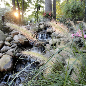 Waterfalls & Ponds