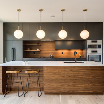 Contemporary Kitchen
