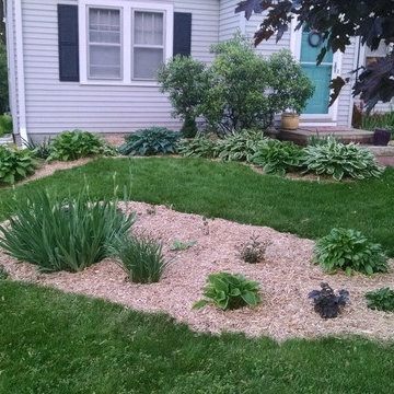 Vegetable Garden
