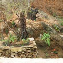 Farm Garden