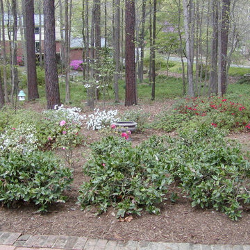 Lush Front Yard