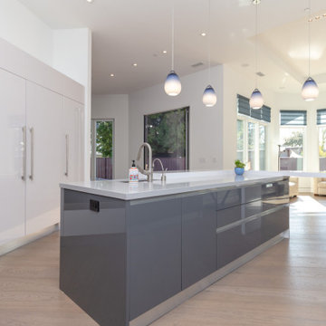 Palo Alto Grey & White Kitchen