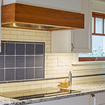 Ladds Addition Transitional White Kitchen