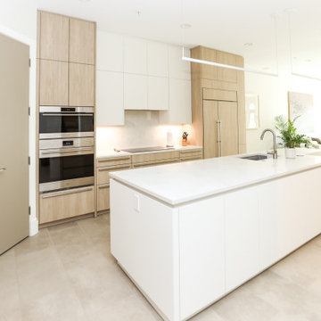 Kitchen Renovation Barton Spring
