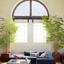 Plants in Bedroom
