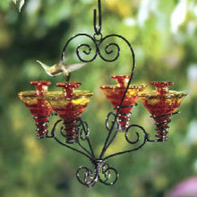 Humming bird feeders