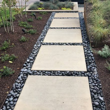 Side Yard