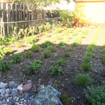 Longfellow Patio, Rain Garden & Dry River Bed