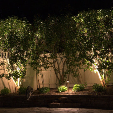 A Great Hilltop Home Lit up for Entertaining and laying back