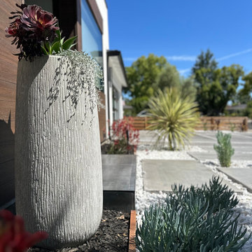 Tech-Savvy Tranquility: Sustainable Yard Design