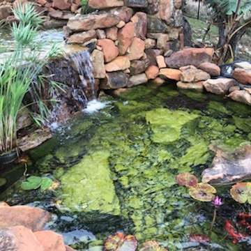 Dripping Springs Ranch