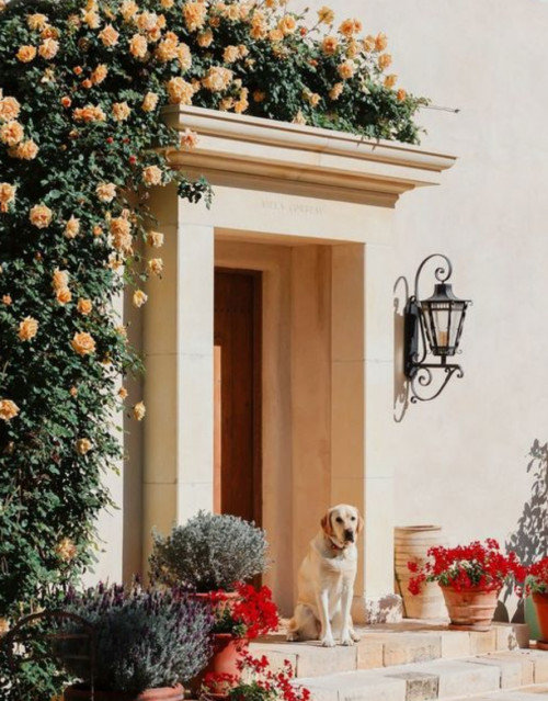 Updating our entire exterior: balcony design, front door ideas?!