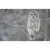 Kimberly Genaw's photo