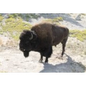 Maximilian Hoffman's photo