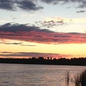 Kathy Tilbury's photo