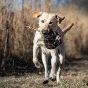 Whitney Rupp's photo