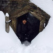 Benjamin Lauzon Godard's photo