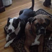 Rose Barros's photo