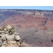 Jenn Bergen's photo