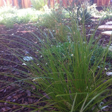 Private garden from Lawn Reduction