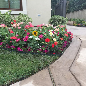 Gardens & Garden Paths