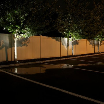 Landscape Lighting