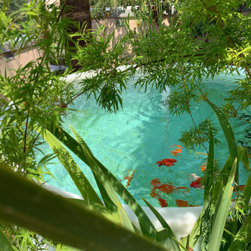 Formal Koi Pond