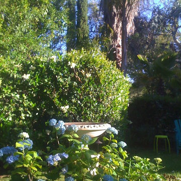 walnut creek garden