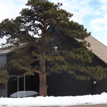 Dark Exterior Remodel | James Hardie Siding with Stone Accents