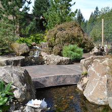 Water Features
