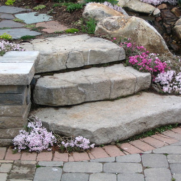 TJB-INC Display Gardens & Ponds - 12 Crestway Hamden