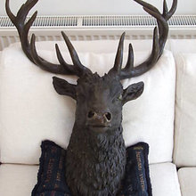 Wall Decoration