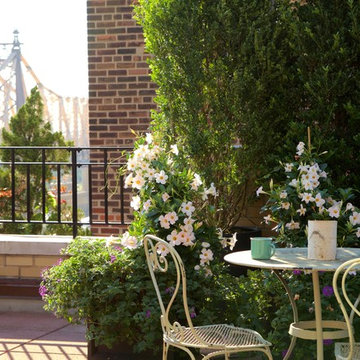 New York Penthouse Garden