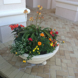 Containers - Outdoor Pots And Planters