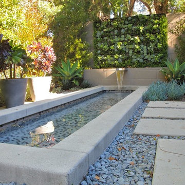 La Jolla Water Feature