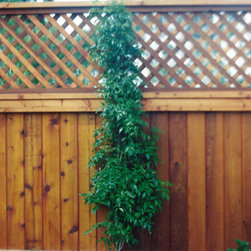California 5 - Home Fencing And Gates