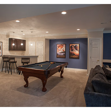 Basement Remodel 2014
