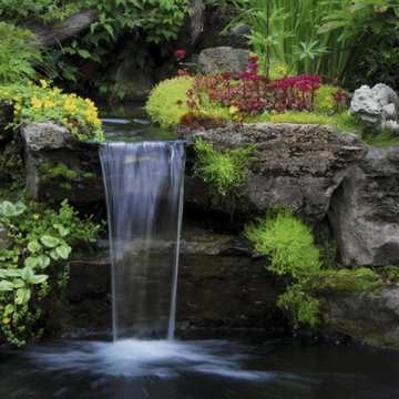 Natural Garden